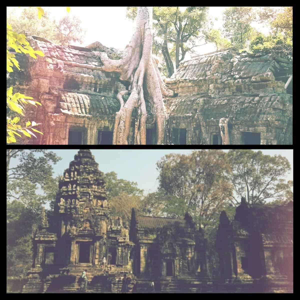 Ta Prohm Temples-Siem Reap Cambodia