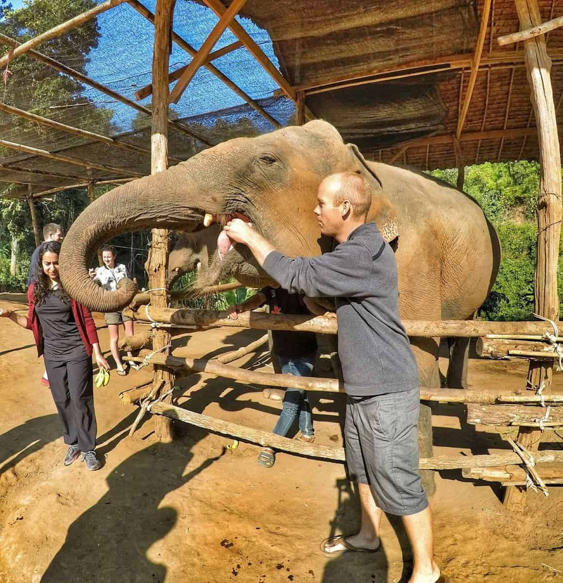 feed elephants at Jungle Sanctuary - Chiang Mai, Thailand
