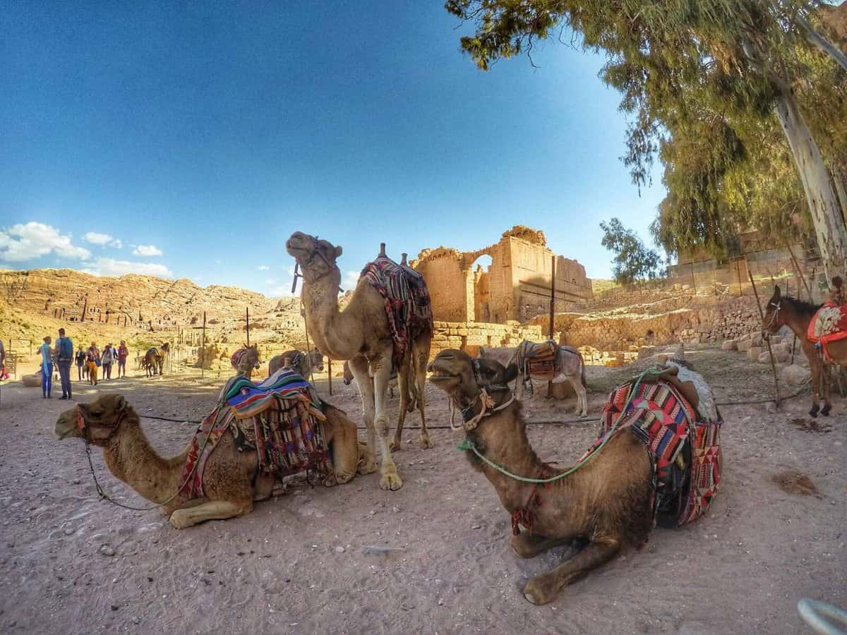 Best Time To Visit Jordan - Petra In March