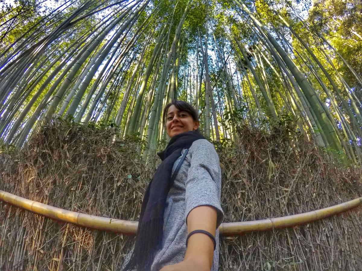 planning a trip to Japan for the first time - Bamboo Grove Kyoto