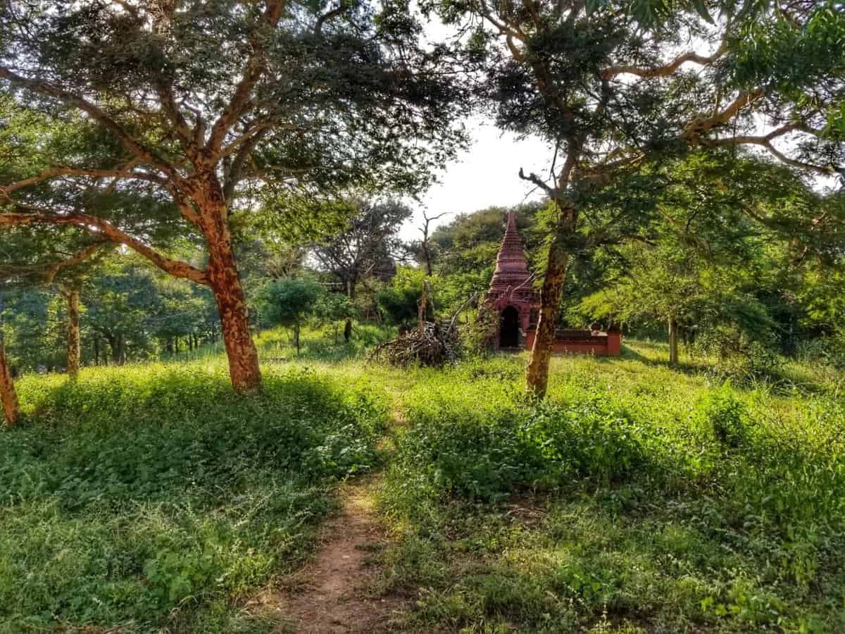 Small temple surrounded by lush greenery and large trees in Bagan, Myanmar.