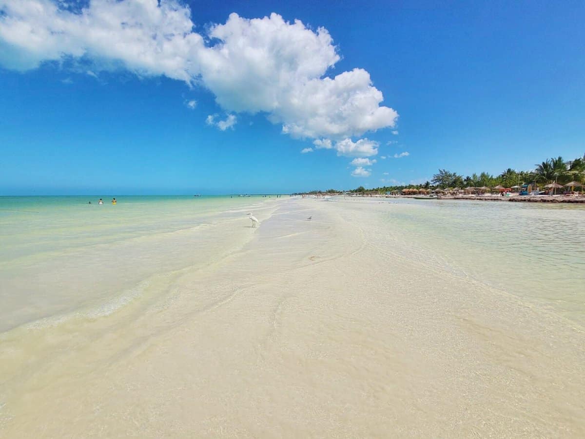 things to do in Isla Holbox - Punta Mosquito