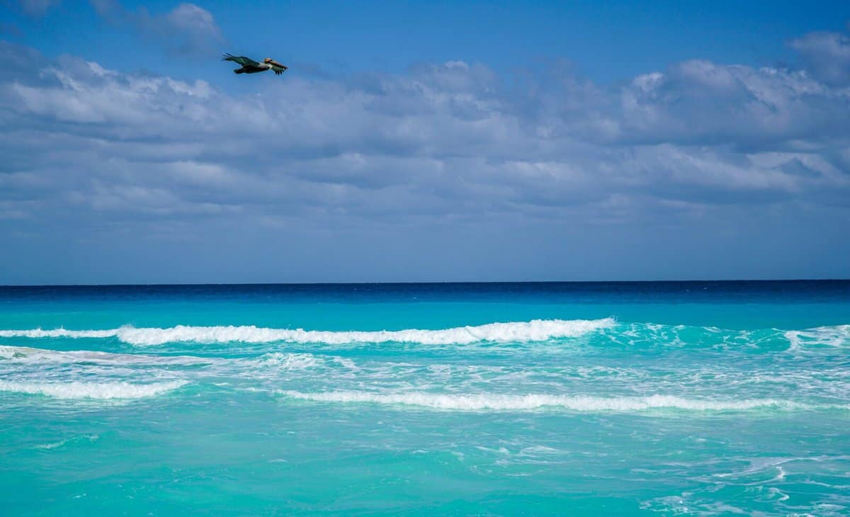 cancun beach Cancun beach