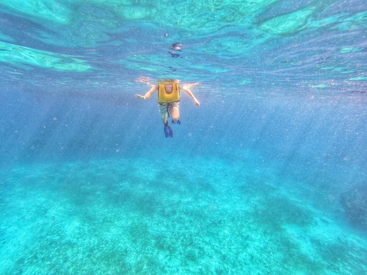 snorkeling underwater Cozumel snorkeling underwater Cozumel