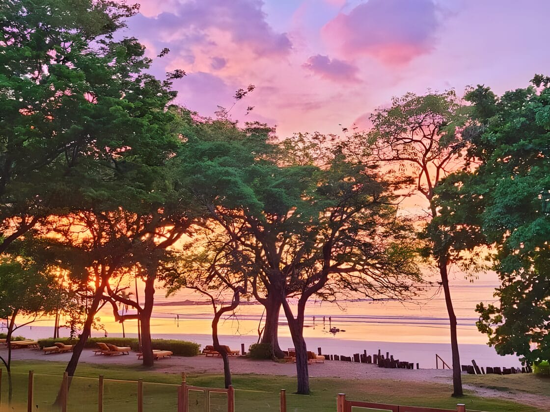 14 day itinerary Costa Rica Vacation Serene sunset view over Tamarindo beach in Costa Rica, framed by lush green trees and vibrant, colorful sky.