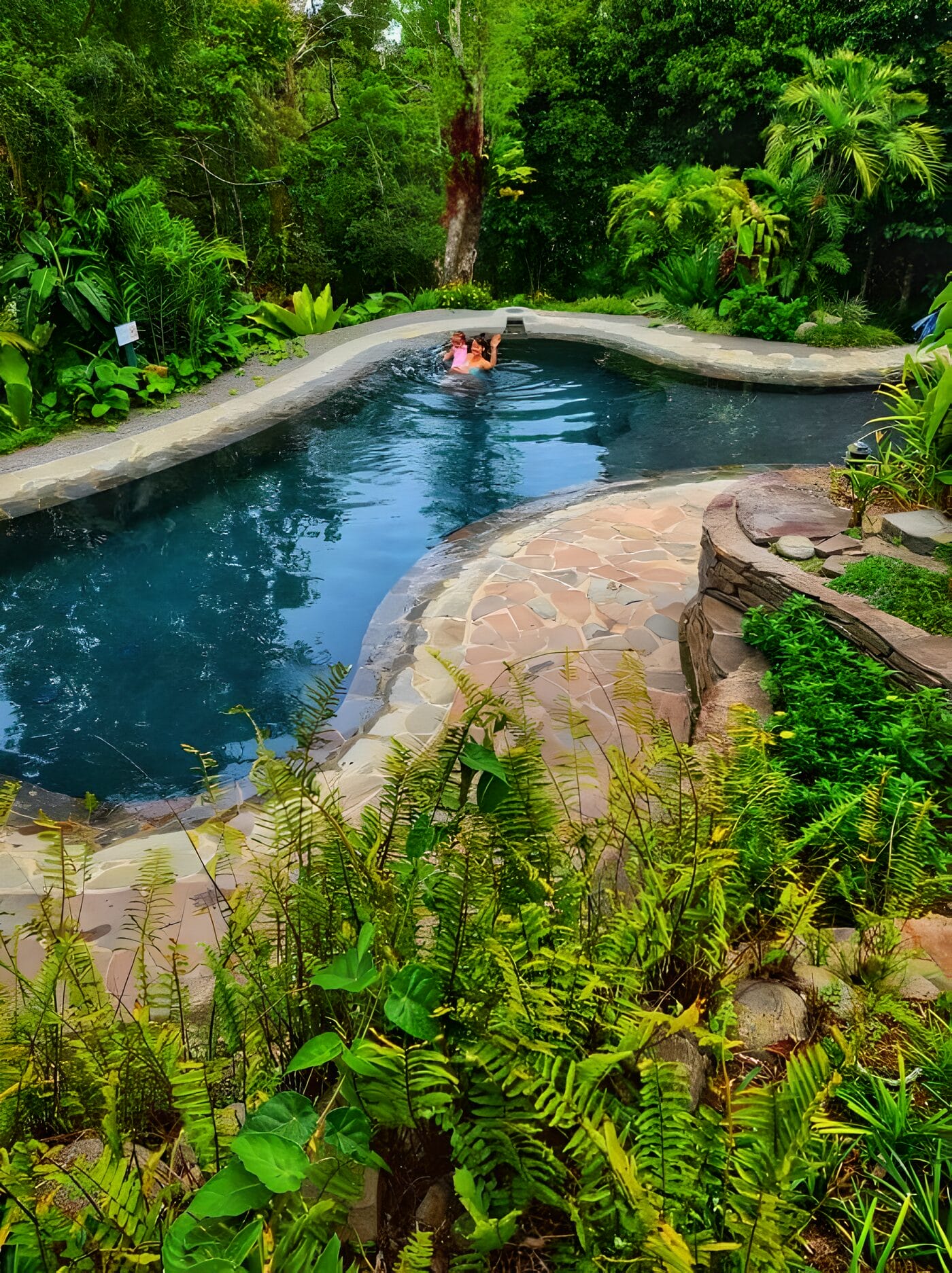 Monteverde Lodge Pool - Costa Rica A serene outdoor pool surrounded by lush greenery at Monteverde Lodge in Monteverde, Costa Rica. Two people are swimming and enjoying the tranquil environment.