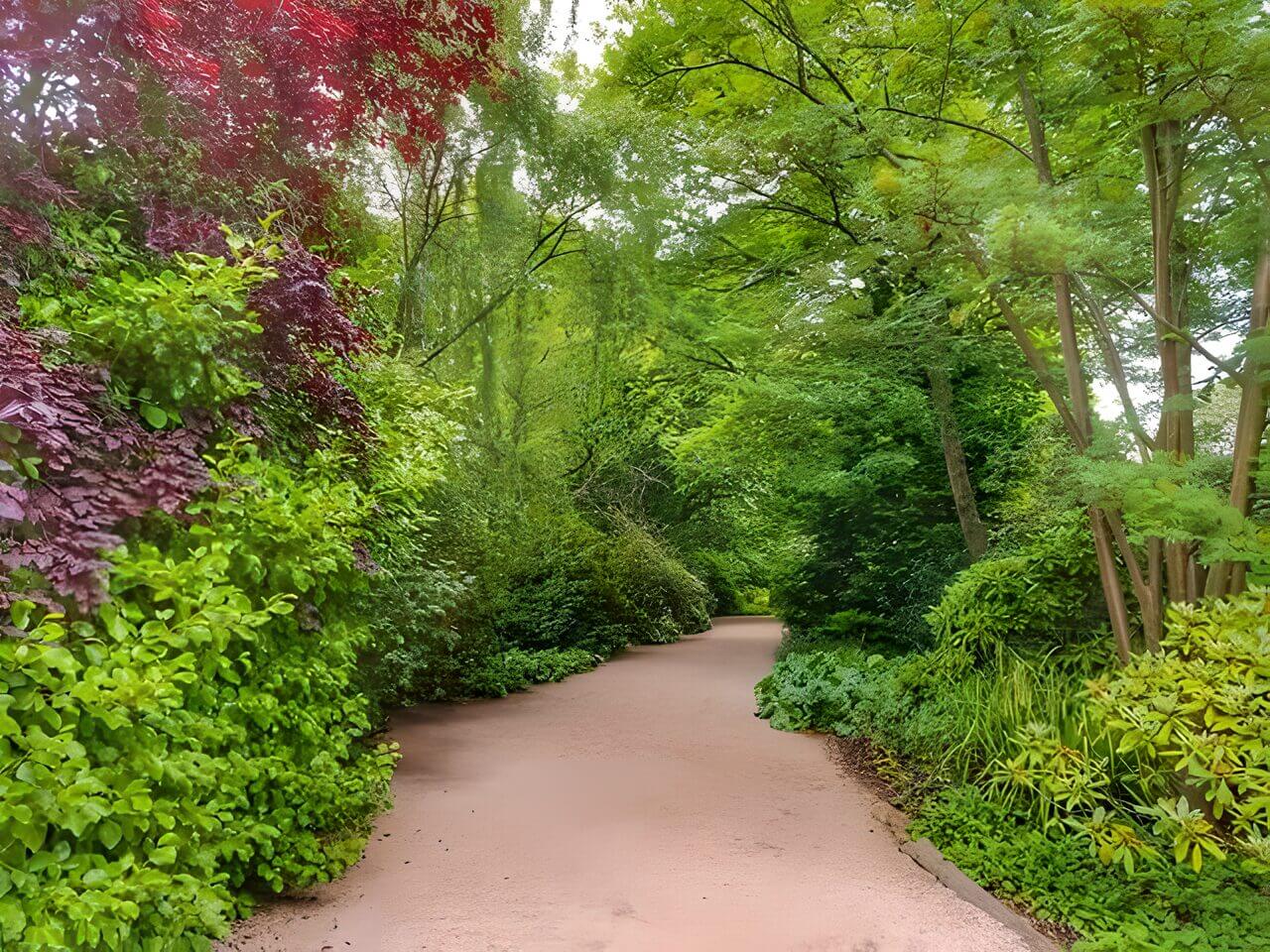 Pathway surrounded by lush greenery in the Palace of Holyroodhouse Gardens, Edinburgh, Scotland.