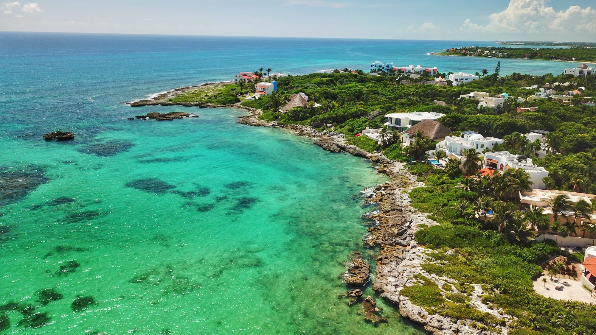 Akumal - animals close to Cancun