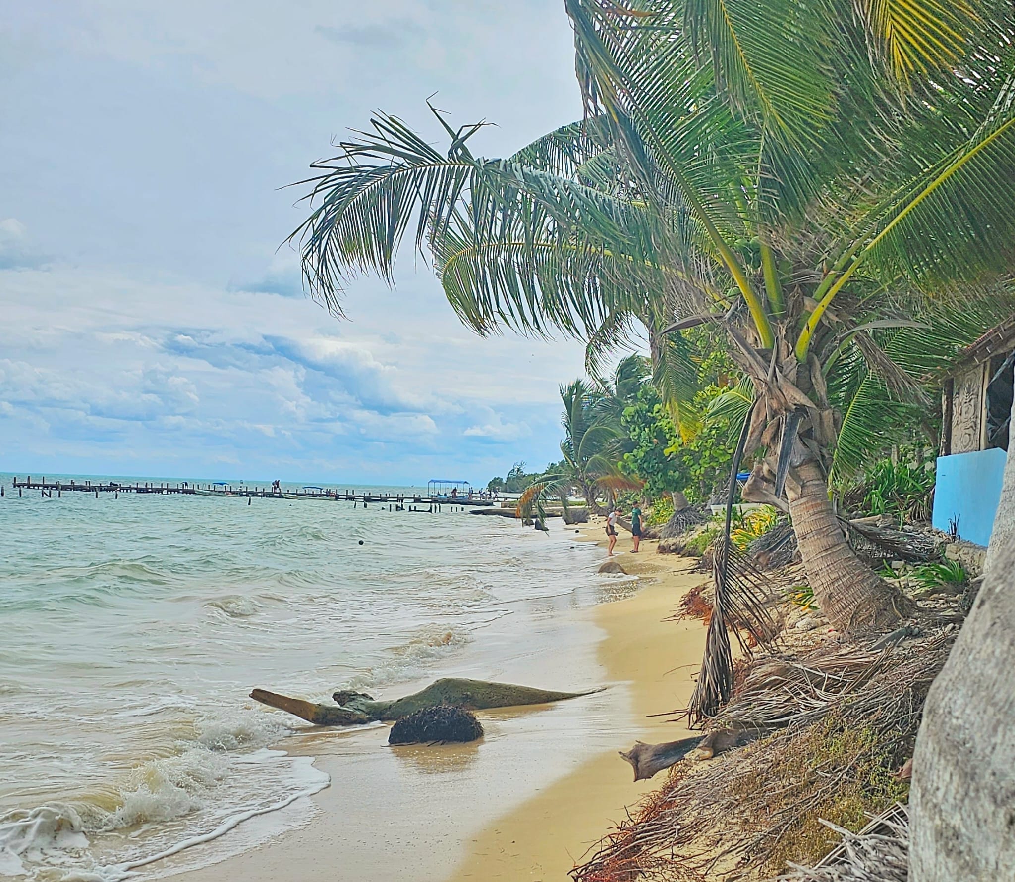 tour of Sian Kaan to see wildlife in Cancun