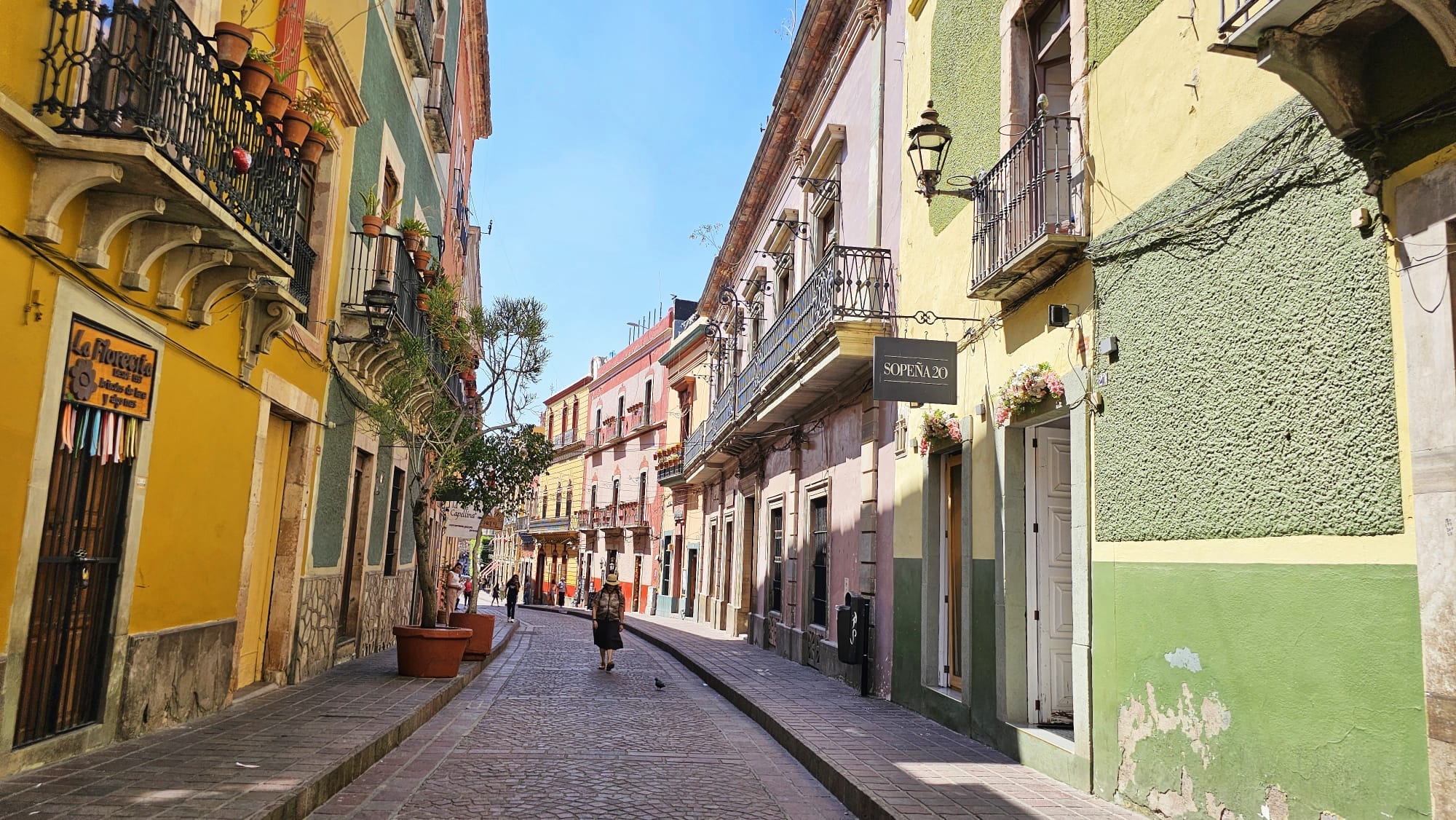 Guanajuato Centro versus Historic San Miguel de Allende, Mexico