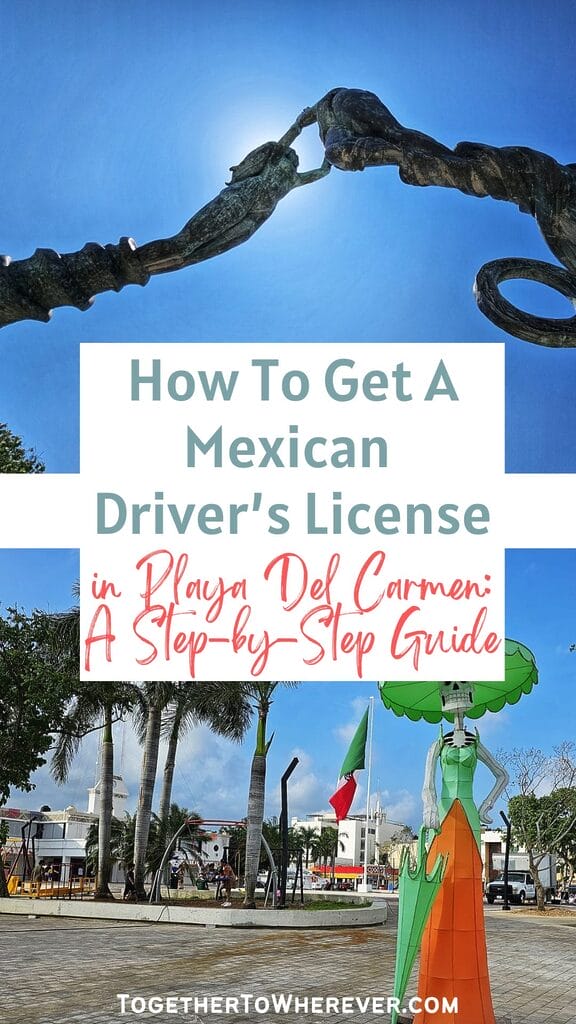 Mexican Drivers License