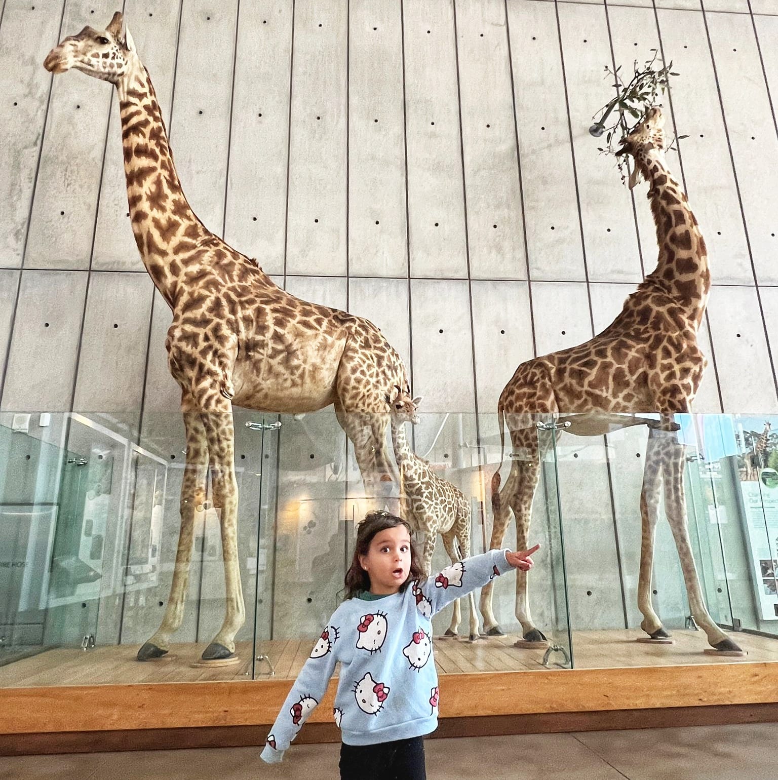 fun for kids in Bay Area California - top things to do and activities