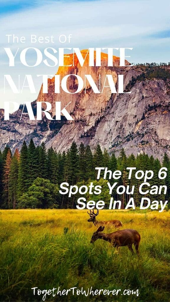 Yosemite National Park One Day Guide