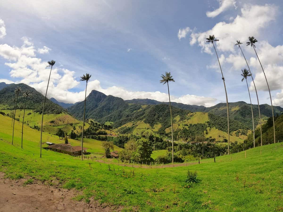 Cocora Valley trails