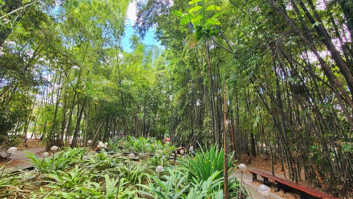 Pies Descalzos Park Medellin Itinerary